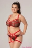 Bra SMN Fetysz Brown